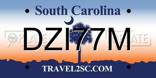 DZI77M South Carolina License Plate