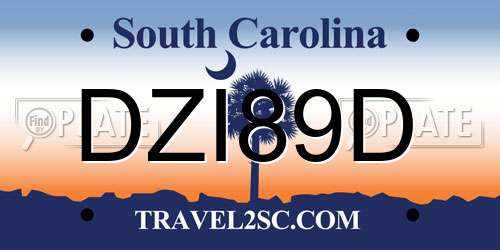 DZI89D South Carolina License Plate