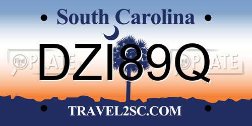 DZI89Q South Carolina License Plate