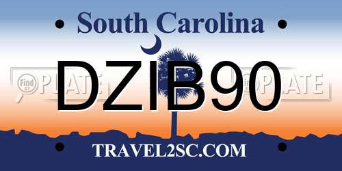 DZIB90 South Carolina License Plate