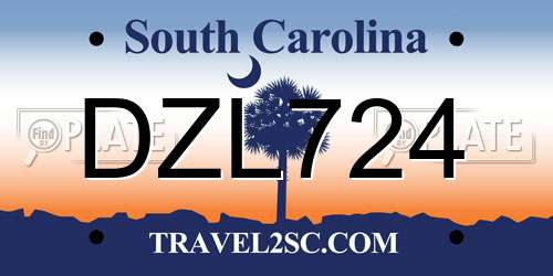 DZL724 South Carolina License Plate