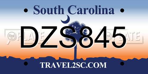 DZS845 South Carolina License Plate