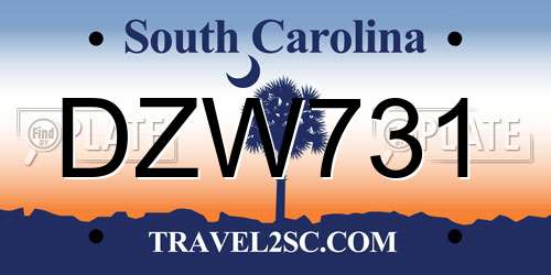 DZW731 South Carolina License Plate