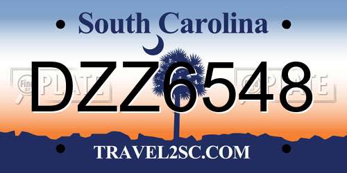 DZZ6548 South Carolina License Plate