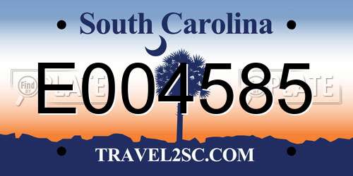 E004585 South Carolina License Plate