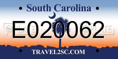 E020062 South Carolina License Plate