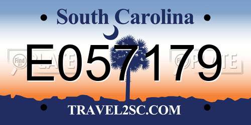 E057179 South Carolina License Plate