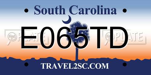 E065TD South Carolina License Plate