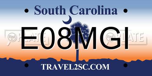 E08MGI South Carolina License Plate