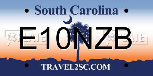E10NZB South Carolina License Plate