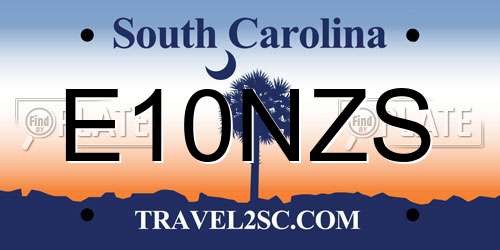 E10NZS South Carolina License Plate