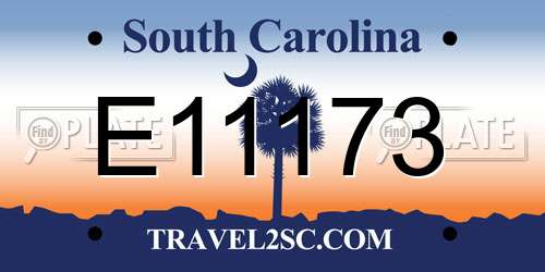 E11173 South Carolina License Plate