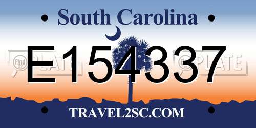 E154337 South Carolina License Plate