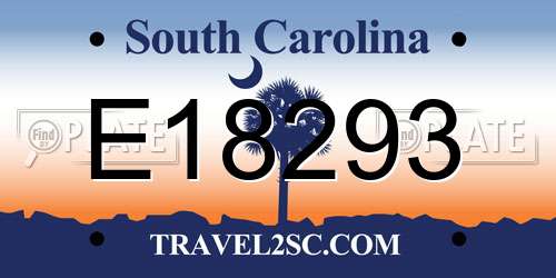 E18293 South Carolina License Plate