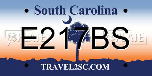E217BS South Carolina License Plate