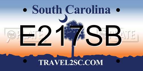 E217SB South Carolina License Plate