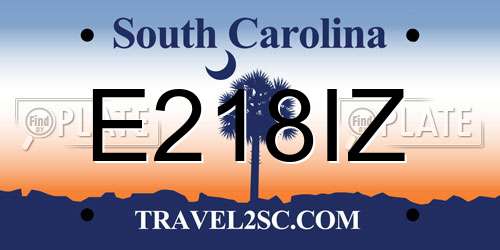 E218IZ South Carolina License Plate