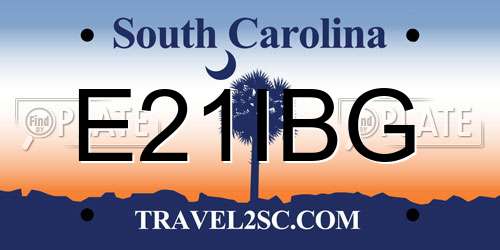 E21IBG South Carolina License Plate