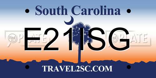E21ISG South Carolina License Plate