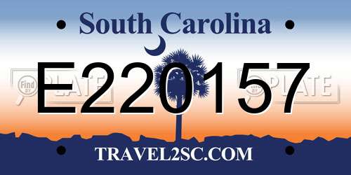 E220157 South Carolina License Plate
