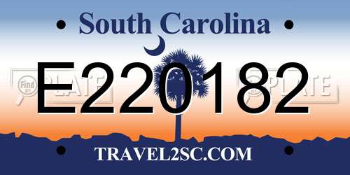 E220182 South Carolina License Plate