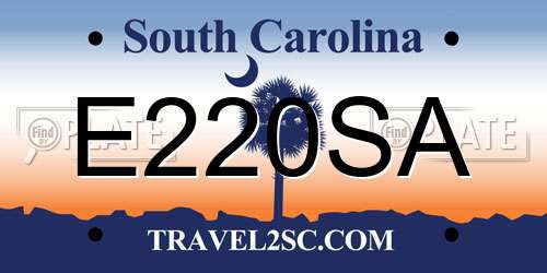E220SA South Carolina License Plate