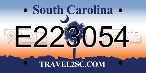 E223054 South Carolina License Plate