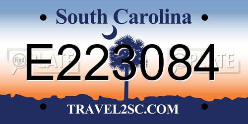 E223084 South Carolina License Plate