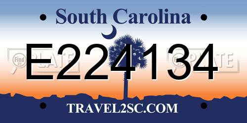 E224134 South Carolina License Plate