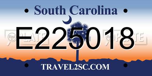E225018 South Carolina License Plate