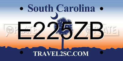 E225ZB South Carolina License Plate