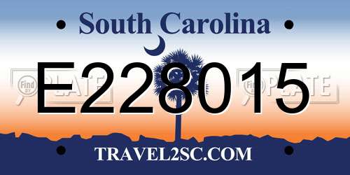 E228015 South Carolina License Plate