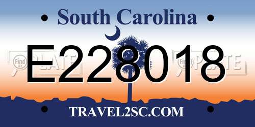 E228018 South Carolina License Plate
