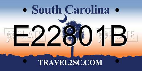 E22801B South Carolina License Plate