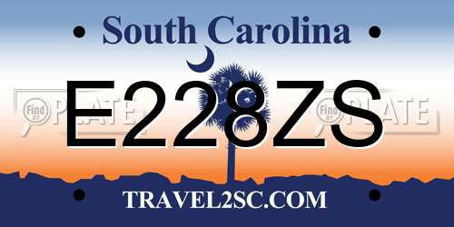 E228ZS South Carolina License Plate