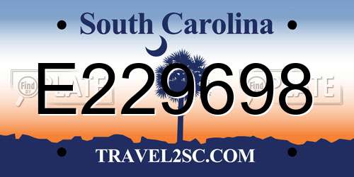 E229698 South Carolina License Plate