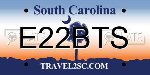 E22BTS South Carolina License Plate