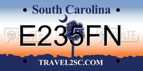 E235FN South Carolina License Plate