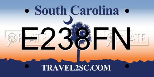 E238FN South Carolina License Plate