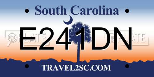 E241DN South Carolina License Plate