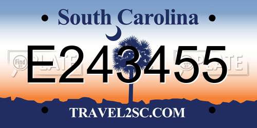 E243455 South Carolina License Plate