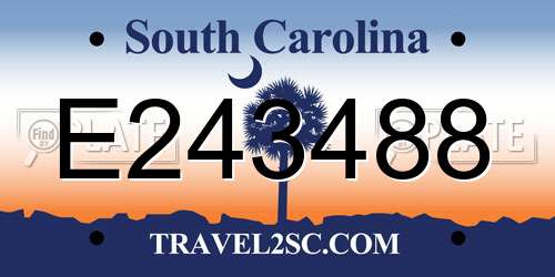 E243488 South Carolina License Plate