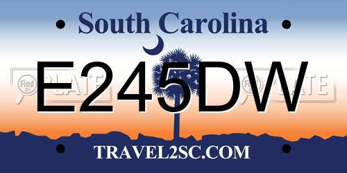 E245DW South Carolina License Plate