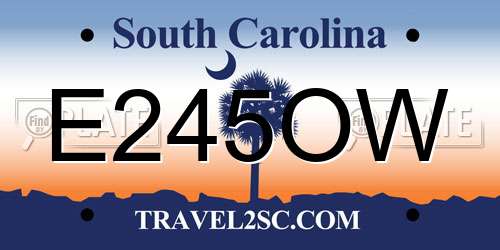 E245OW South Carolina License Plate