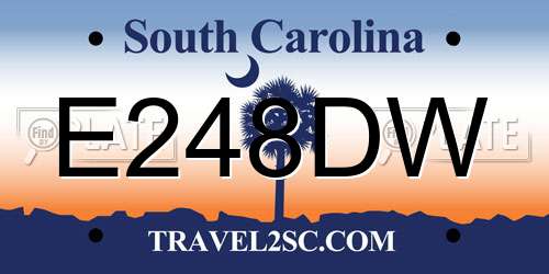 E248DW South Carolina License Plate