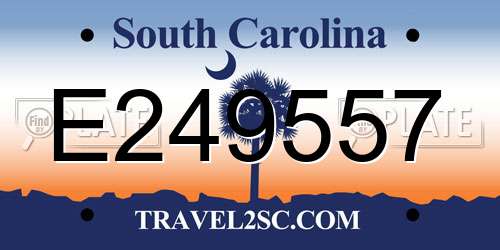 E249557 South Carolina License Plate