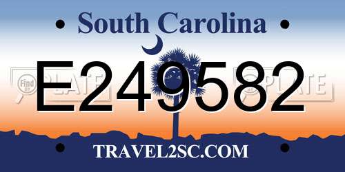 E249582 South Carolina License Plate