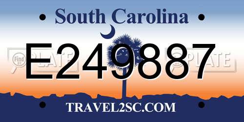 E249887 South Carolina License Plate