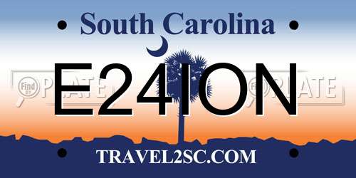 E24ION South Carolina License Plate
