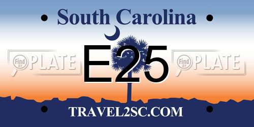 E25 South Carolina License Plate